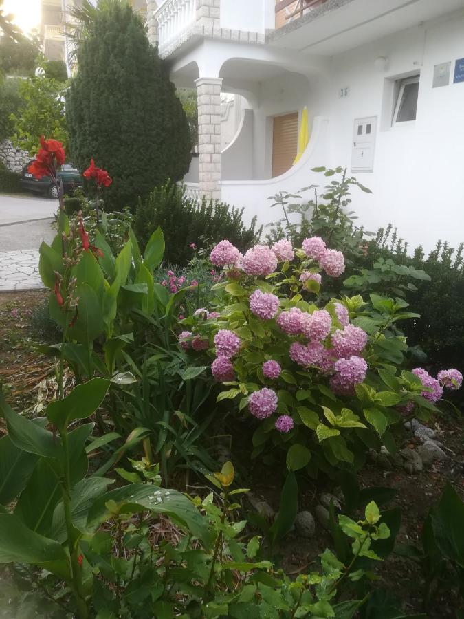 Alemka Daire Banjol Dış mekan fotoğraf